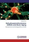 Dehydroepiandrosterone (DHEA) and Brain Aging