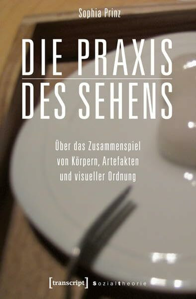 Die Praxis des Sehens: Über das Zusammenspiel von Körpern, Artefakten und visueller Ordnung (Sozialtheorie)