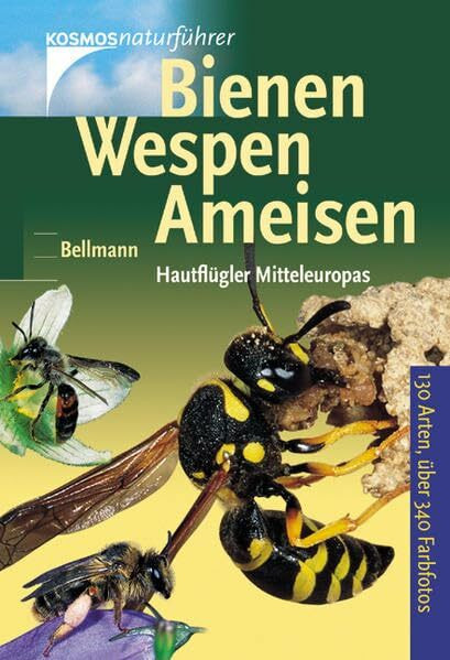 Bienen, Wespen, Ameisen: Hautflügler Europas (Kosmos-Naturführer)