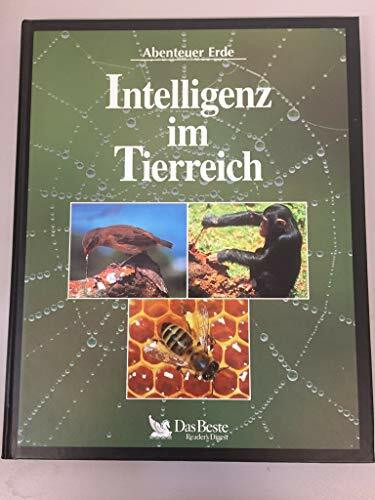 Abenteurer Erde - Intelligenz im Tierreich