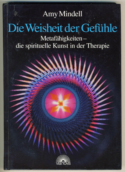 Die Weisheit der Gefühle: Metafähigkeiten - die spirituelle Kunst in der Therapie