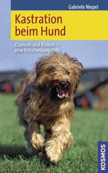 Kastration beim Hund: Chancen und Risiken - eine Entscheidungshilfe