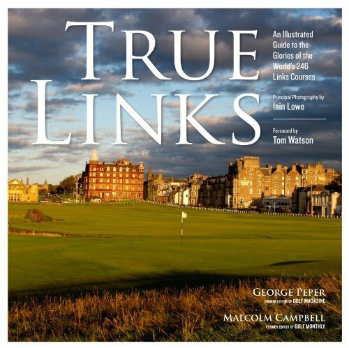 Artisan True Links