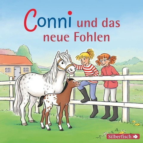 Conni und das neue Fohlen