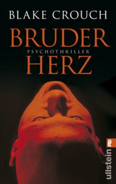 Bruderherz (Ullstein Taschenbuch)