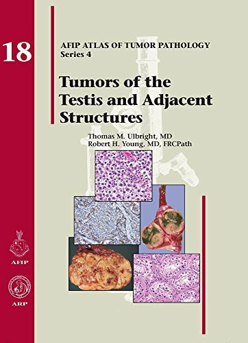 Tumors of the Testis and Adjacent Structures (AFIP Atlas of Tumor Pathology, Series 4, Band 18)