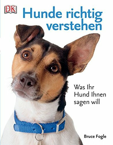 Hunde richtig verstehen