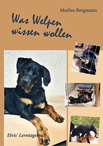 Was Welpen wissen wollen: Elvis' Lerntagebuch