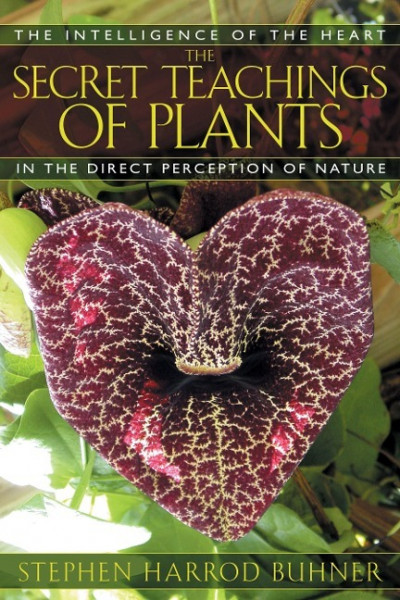 The Secret Teachings of Plants