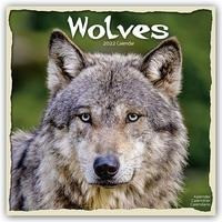 Wolves - Wölfe 2022 - 18-Monatskalender