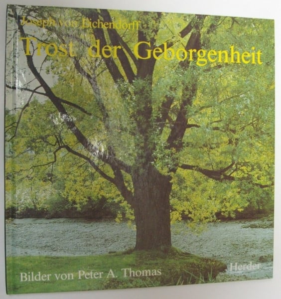 Trost der Geborgenheit