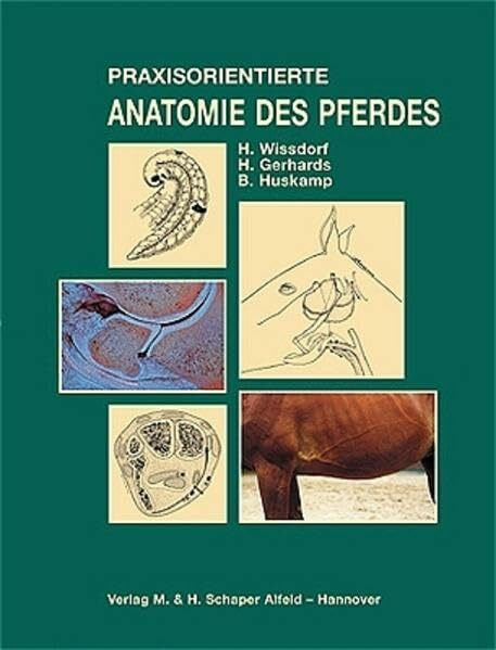 Praxisorientierte Anatomie und Propädeutik des Pferdes