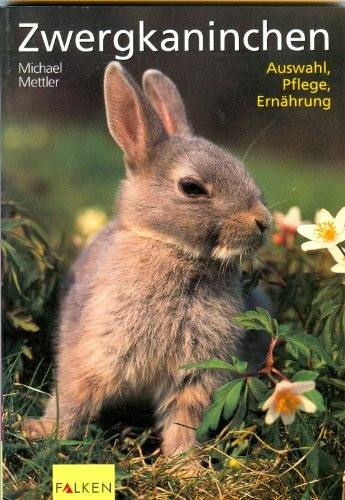 Zwergkaninchen