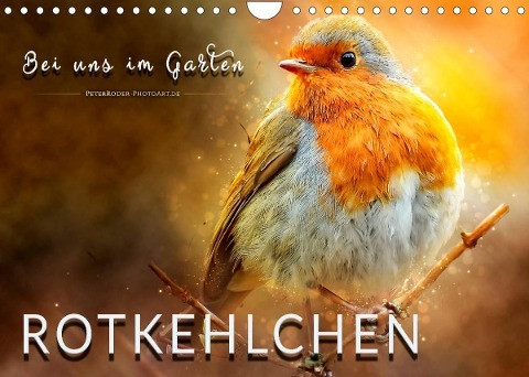 Bei uns im Garten - Rotkehlchen (Wandkalender 2022 DIN A4 quer)