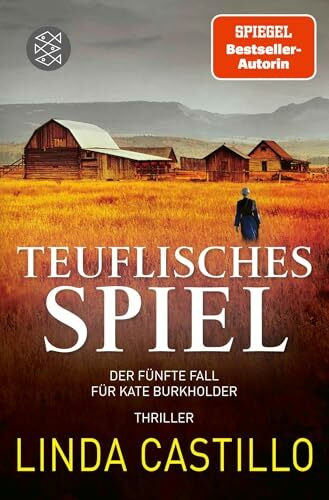 Teuflisches Spiel: Thriller | Spannender Thriller bei den Amischen (Kate Burkholder ermittelt, Band 5)