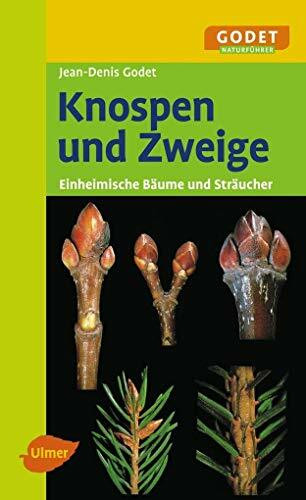 Knospen und Zweige: Einheimische Bäume und Sträucher (GODET Naturführer)
