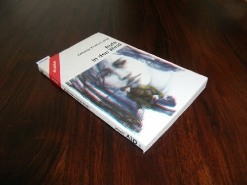 RUFE IN DEN WIND (dtv pocket)
