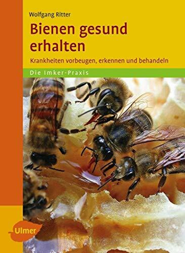 Bienen gesund erhalten: Bienenkrankheiten vorbeugen, erkennen und behandeln