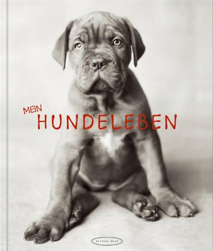 Mein Hundeleben