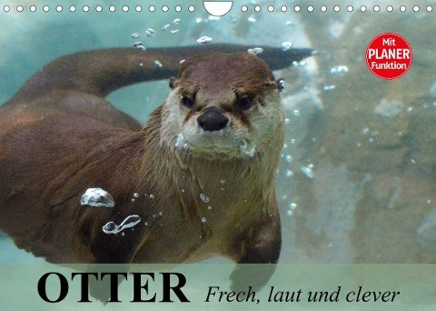 Otter. Frech, laut und clever (Wandkalender 2022 DIN A4 quer)