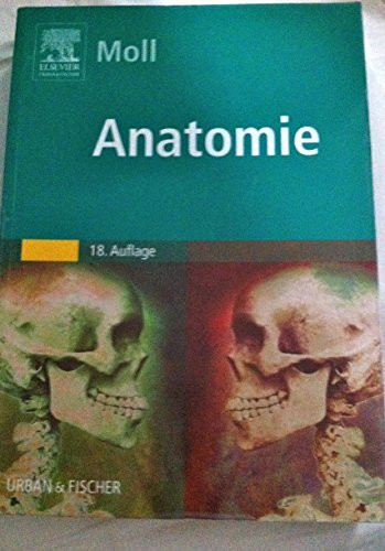 Anatomie (Kurzlehrbücher)