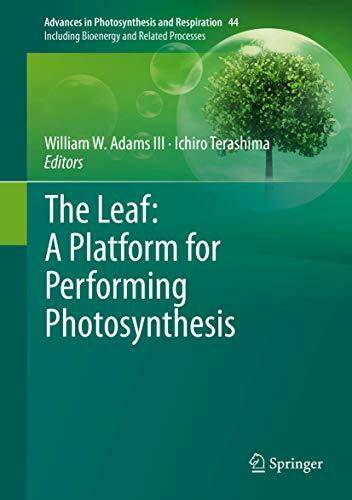 The Leaf: A Platform for Performing Photosynthesis (Advances in Photosynthesis and Respiration, 44, Band 44)