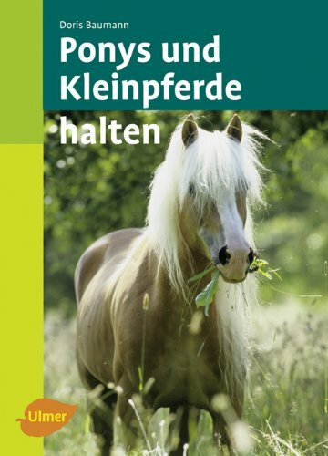 Ponys und Kleinpferde halten