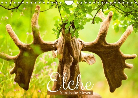 Elche: Nordische Riesen (Wandkalender 2022 DIN A4 quer)