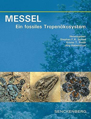 MESSEL - Ein fossiles Tropenökosystem (Senckenberg-Buch)