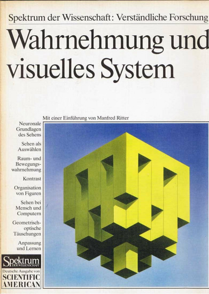 Wahrnehmung und visuelles System