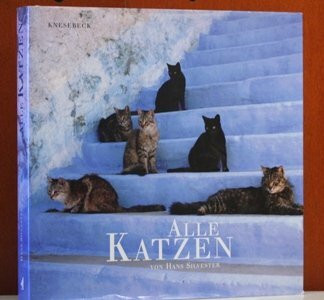 Alle Katzen