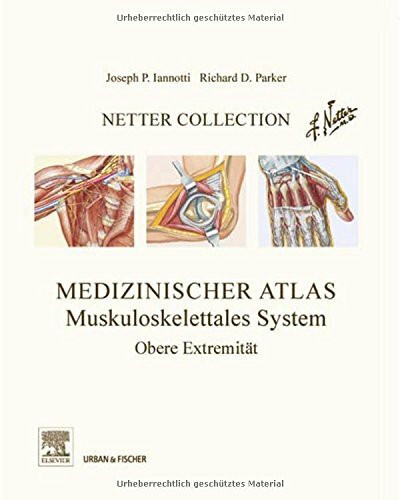 Netter Collection Muskuloskelettales System Band 1: Obere Extremität