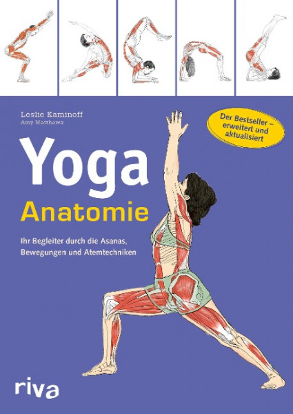 Yoga-Anatomie