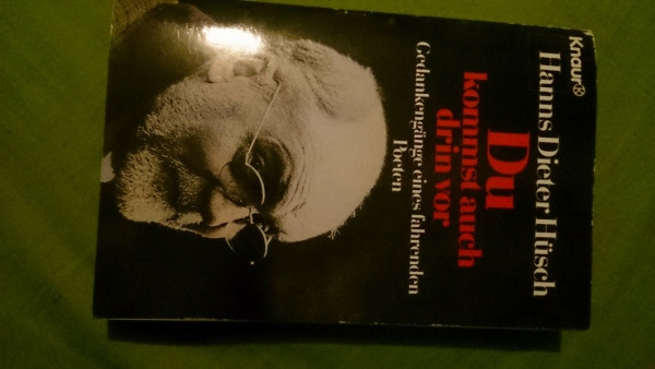 Du kommst auch drin vor - Gedankengänge eines fahrenden Poeten.
