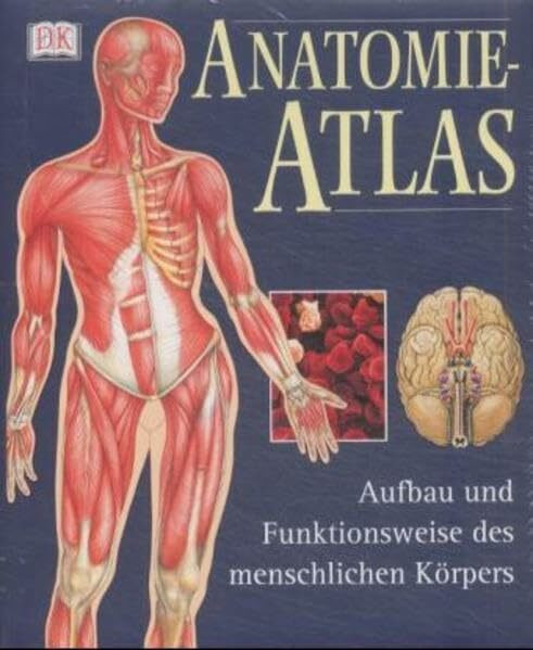 Anatomie-Atlas: Aufbau und Funktionsweise des menschlichen Körpers