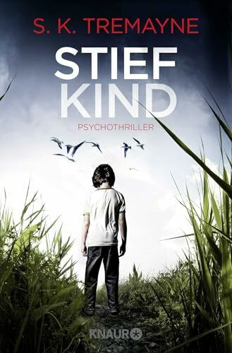 Stiefkind: Psychothriller