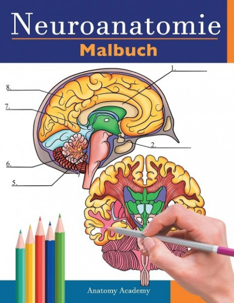 Neuroanatomie Malbuch