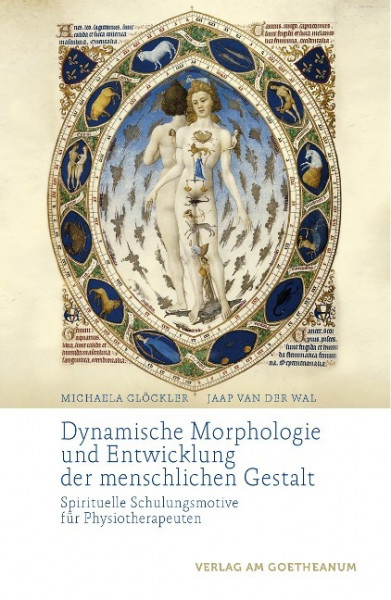 Dynamische Morphologie und Entwicklung der menschlichen Gestalt