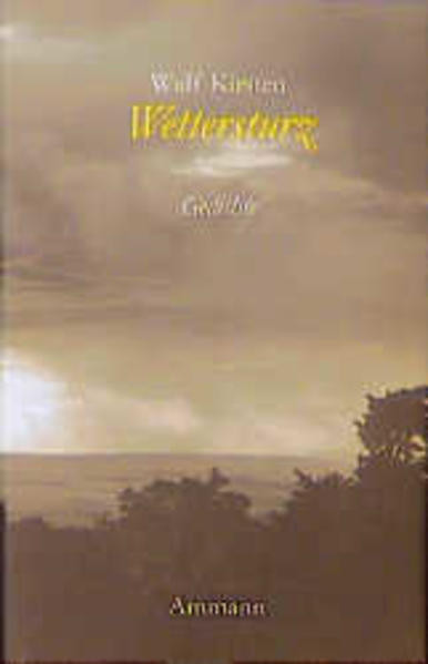 Wettersturz: Gedichte 1993-1998