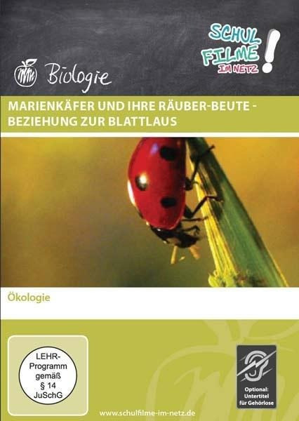Marienkäfer und ihre Räuber-Beute - Beziehung zur Blattlaus