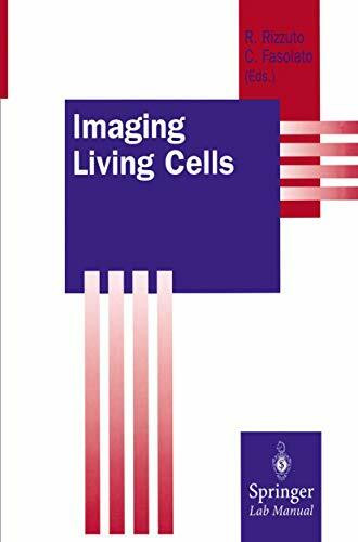 Imaging Living Cells (Springer Lab Manual)