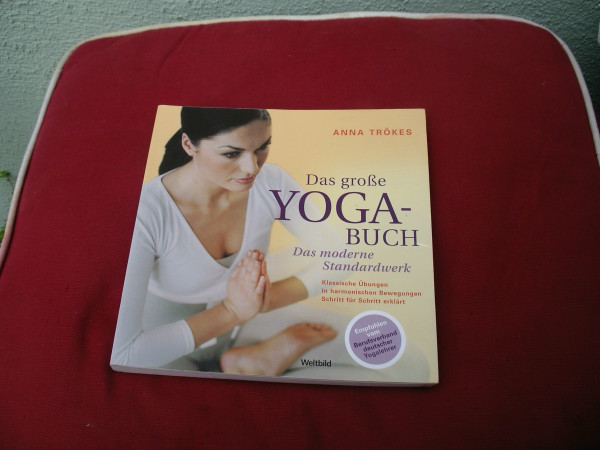 Das große Yoga-Buch