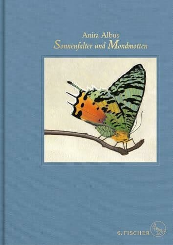 Sonnenfalter und Mondmotten