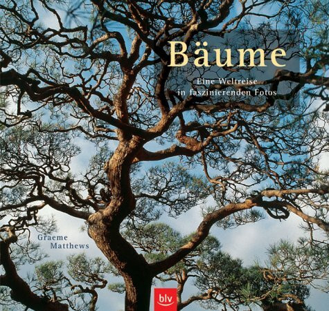 Bäume: Eine Weltreise in faszinierenden Fotos