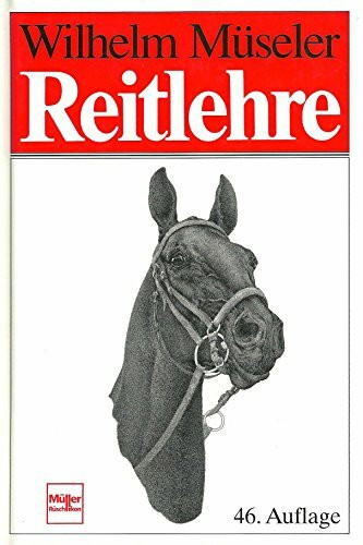 Reitlehre