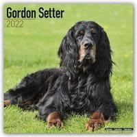 Gordon Setter 2022 - 16-Monatskalender