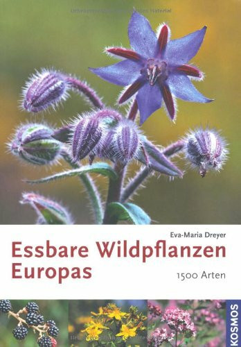 Essbare Wildpflanzen Europas: 1500 Arten
