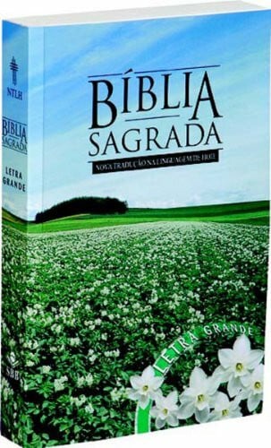 Portuguese Large Print Bible-FL