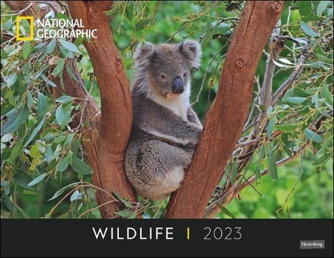 Wildlife Posterkalender National Geographic 2023