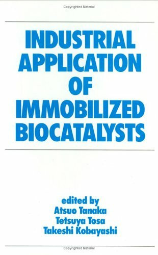 Industrial Application of Immobilized Biocatalysts (Bioprocess Technology, Band 16)